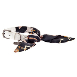 TOSCA Set lesă cu zgardă