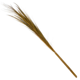 GRASS Iarbă decorativă