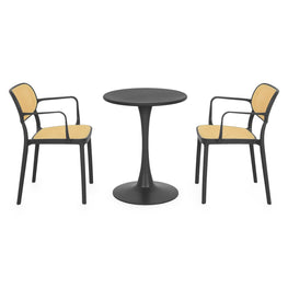 PLEZURO/ALIVIO Set mobilier terasă/grădină, 2 scaune și masă