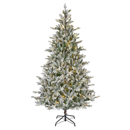 ALLISON Brad artificial 430 LED-uri, H.210cm