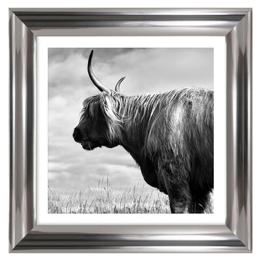 HIGHLAND II Tablou