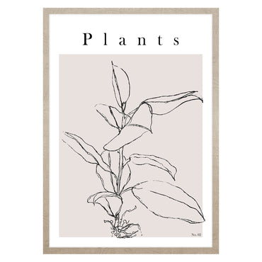 PLANTS Tablou