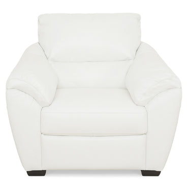 ARKTIKOS Fotoliu, piele