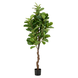 UV-FICUS Copac artificial în ghiveci, H.180cm