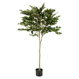 UV-FICUS Copac artificial în ghiveci, H.160cm