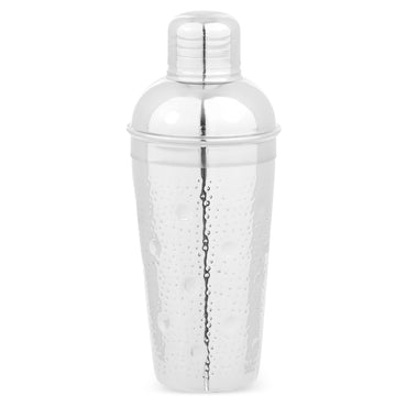 PUNTO Shaker, inox, 500ml