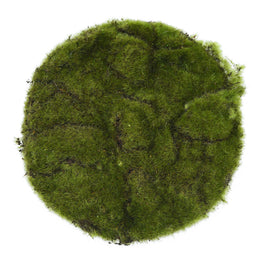 MOSS Mușchi decorativ