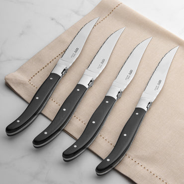 BASCO Set 4 cuțite friptură