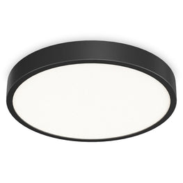 RAY Plafonieră 1x44W LED