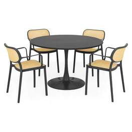 PLEZURO/ALIVIO Set mobilier terasă/grădină, 4 scaune și masă