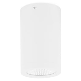 RENO Plafonieră 1x10W LED