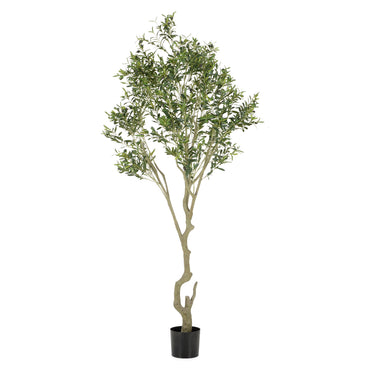 UV-OLIVE Copac artificial în ghiveci