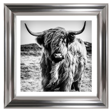 HIGHLAND I Tablou