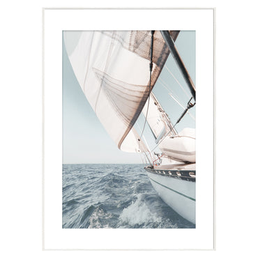 SAIL Tablou