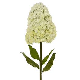 HYDRANGEA Floare artificială