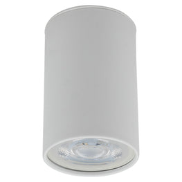 TOP WHITE Plafonieră 1x10W GU10