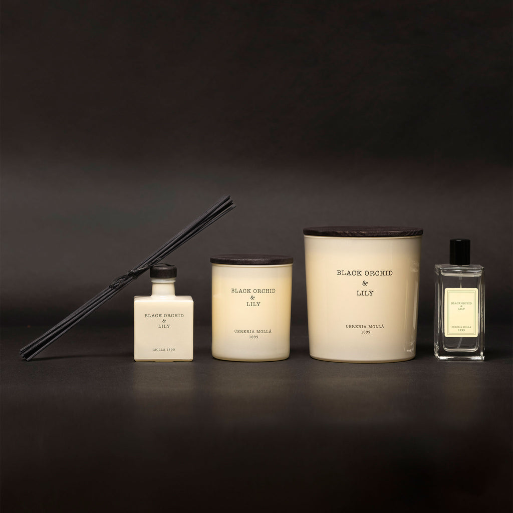 CERERIA MOLLA Difuzor parfum cameră de la Mobexpert