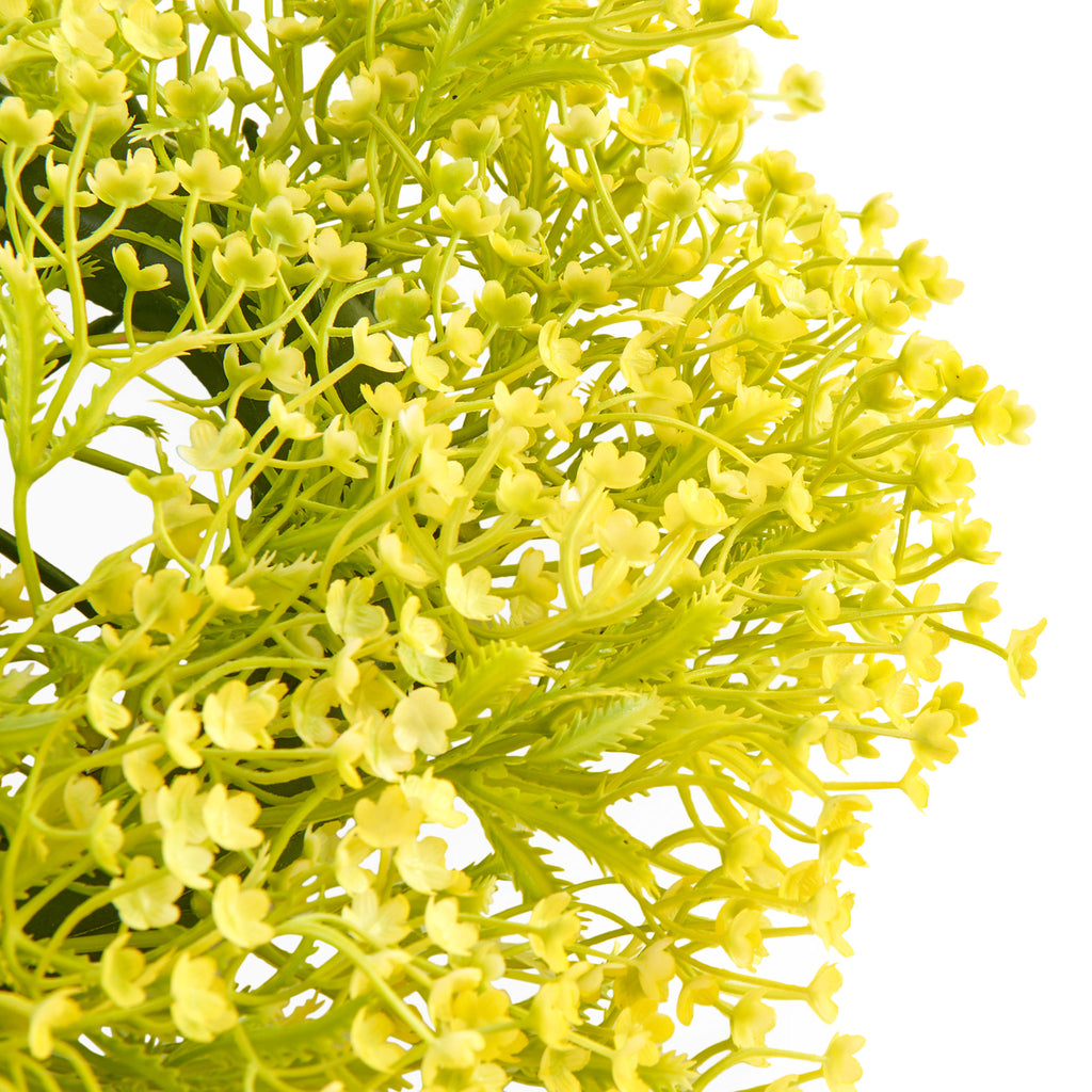 MIMOSA Coroniță decorativă de la Mobexpert