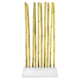 BAMBOO Paravan