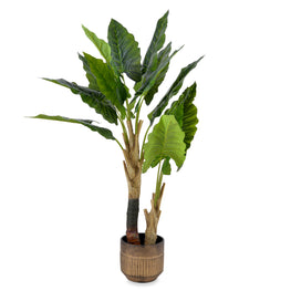 CALLA Copac artificial în ghiveci, H.130cm