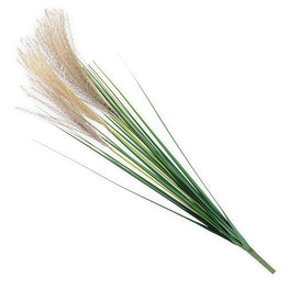 REED Plantă artificială