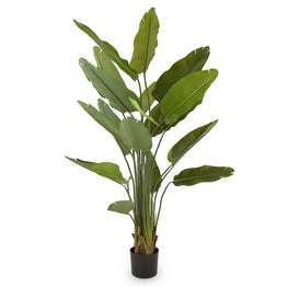 STRELITZIA Plantă artificial în ghiveci, H.180cm