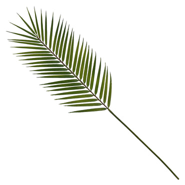 ARECA Frunză artificială