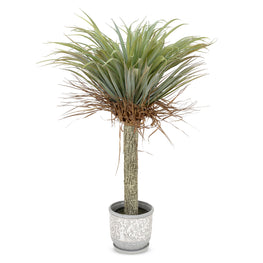 YUCCA Copac artificial în ghiveci, H.105cm