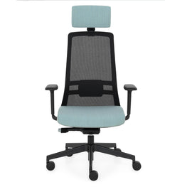 RASSEGNA Scaun ergonomic birou