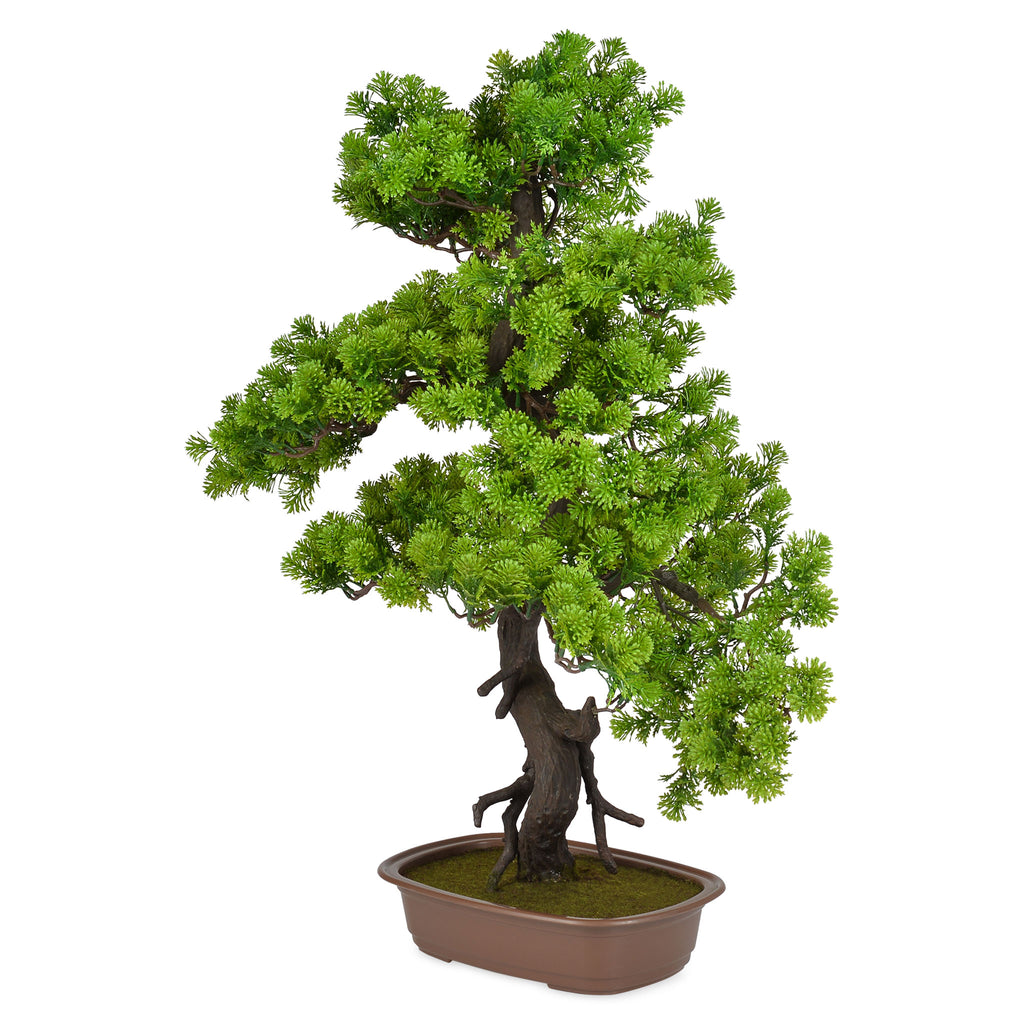 BONSAI Copac artificial în ghiveci, H.85cm de la Mobexpert