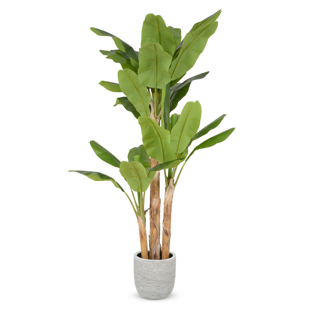 Banano verde artificiale h190cm - Concoral - Nardini Forniture