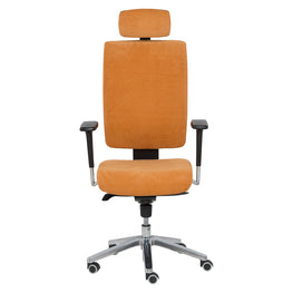 Scaun operational KIND