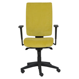 Scaun operational KIND