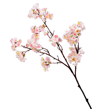 Crenguta CHERRY BLOSSOM