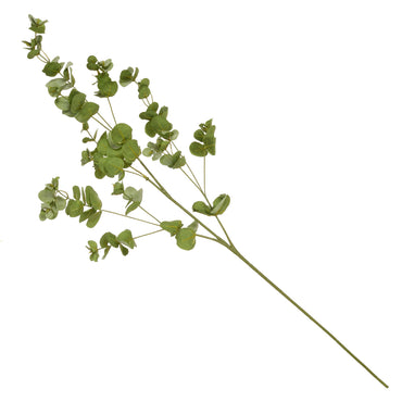EUCALYPTUS Plantă artificială