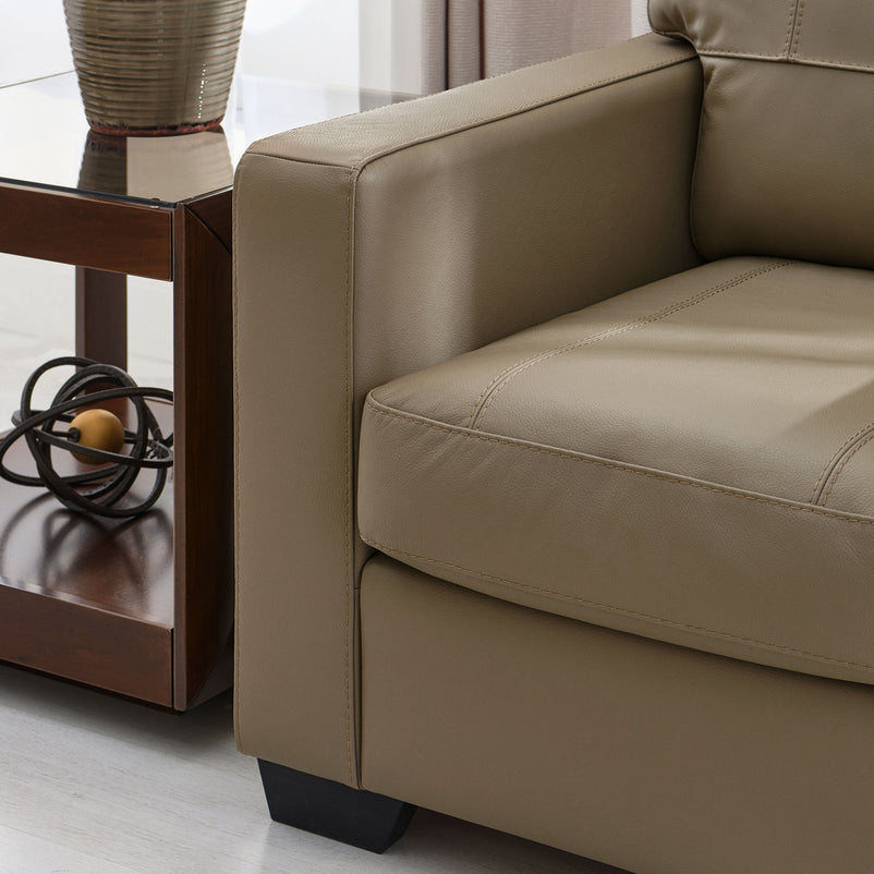 ASWAN Fotoliu, piele