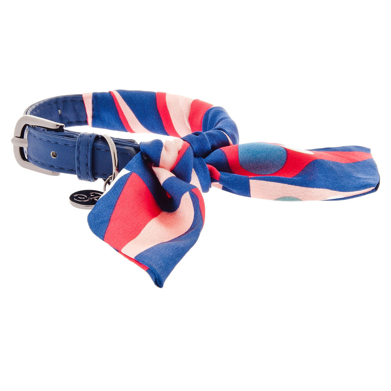 CARMEN Set lesă cu zgardă