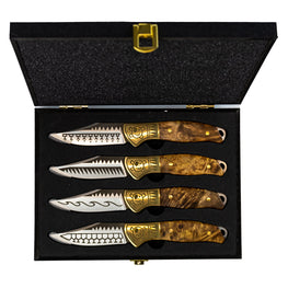 HOMEYS Set 4 cuțite friptură