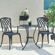 CICERO Set mobilier terasă/grădină, 2 scaune și masă