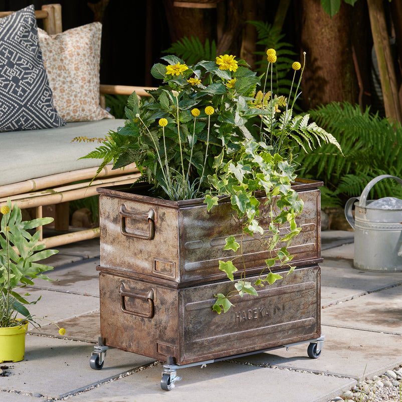 SUNCITY Suport ghiveci