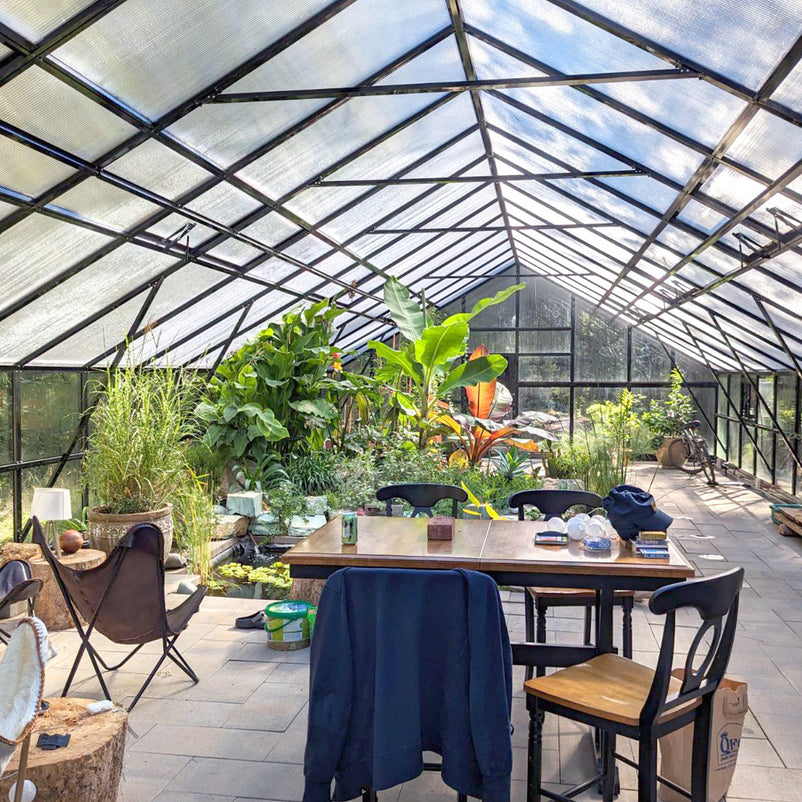 HALL Oranjerie, 706x806cm