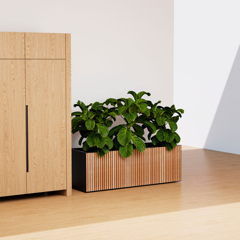 PLANTER WOOD Jardinieră