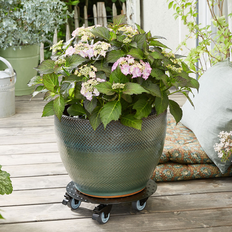 ALASKA Suport ghiveci