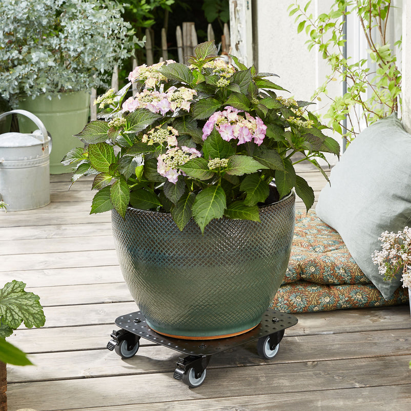 ALASKA Suport ghiveci