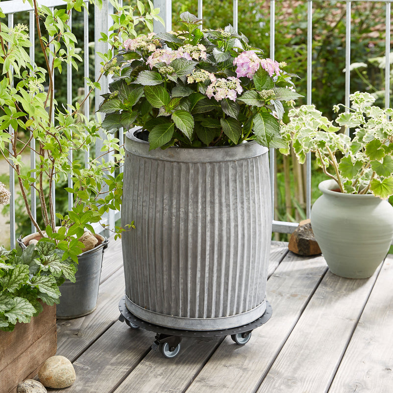 ALASKA Suport ghiveci