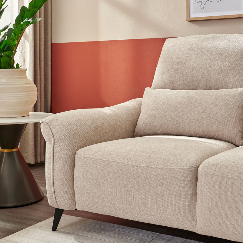 CARVER Canapea 2 locuri, mecanism tetiere, stofă