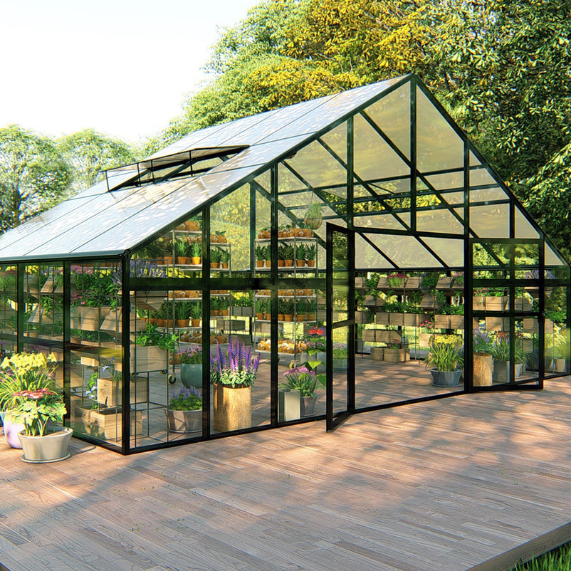 HALL Oranjerie, 706x806cm