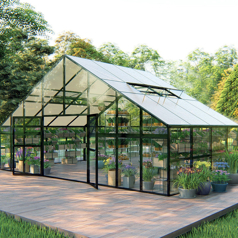 HALL Oranjerie, 706x806cm