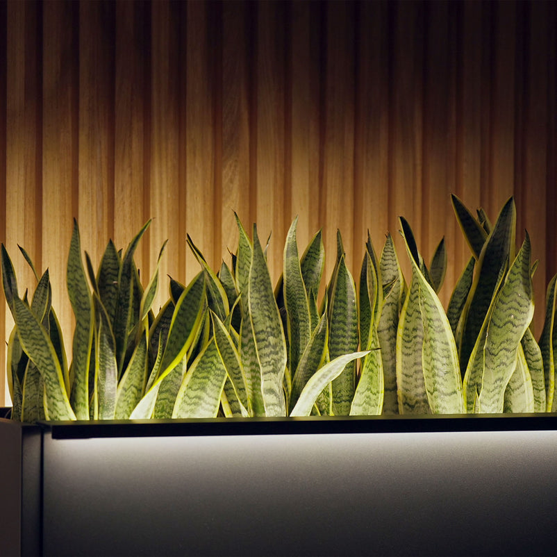 PLANTER METAL Suport lumină jardinieră