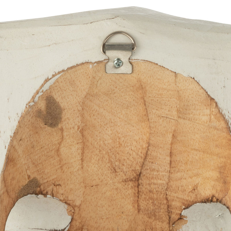 ALBASIA Decorațiuni perete